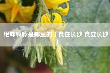 绝味鸭脖是哪里的（食在长沙 食安长沙）