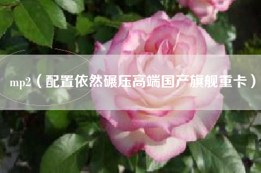 mp2(配置依然碾压高端国产旗舰重卡)