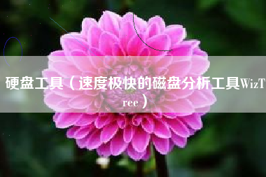 硬盘工具(速度极快的磁盘分析工具WizTree)