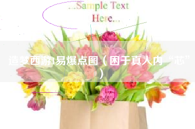 造梦西游1易爆点图（困于真人内“芯”）