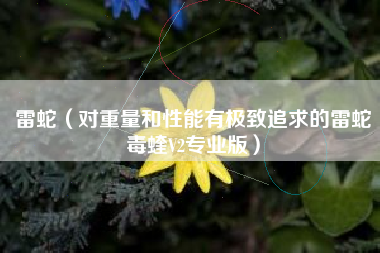 雷蛇(对重量和性能有极致追求的雷蛇毒蝰V2专业版)