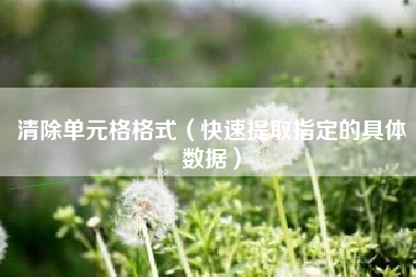清除单元格格式(快速提取指定的具体数据)