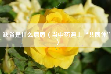 缺省是什么意思(当中药遇上“共同体”)