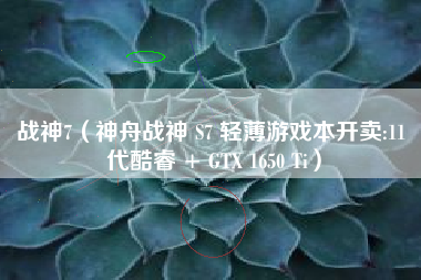 战神7(神舟战神 S7 轻薄游戏本开卖:11 代酷睿 + GTX 1650 Ti)
