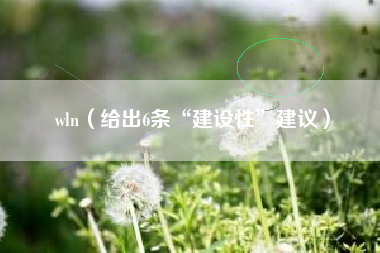 wln(给出6条“建设性”建议)