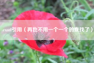 excel引用（再也不用一个一个的查找了）