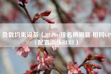 负载均衡设备(MLPerf排名榜刷新:相同GPU配置训练BERT)