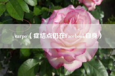 carpo（症结点仍在Facebook自身）