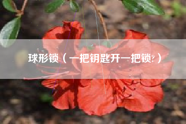 球形锁（一把钥匙开一把锁?）