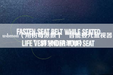 usbmon（用树莓派做个“智能婴儿监视器”:啼哭自动通知）