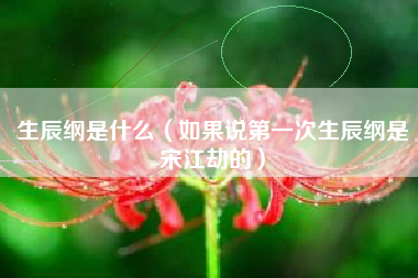 详细阅读:生辰纲是什么(如果说第一次生辰纲是宋江劫的) 生辰纲是什么(如果说第一次生辰纲是宋江劫的)