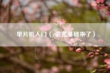单片机入门（c语言基础来了）