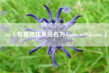 aar(专属操作系统名为"xrOS")