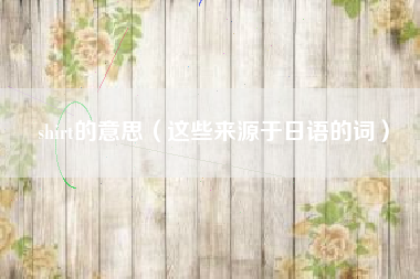 shirt的意思（这些来源于日语的词）