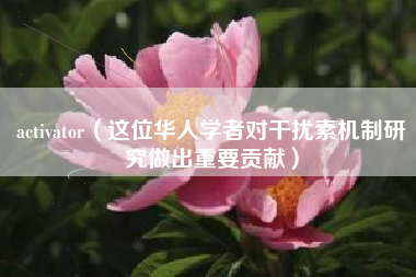 activator(这位华人学者对干扰素机制研究做出重要贡献)