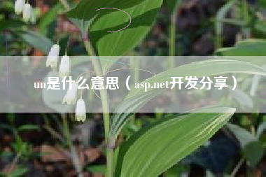 un是什么意思(asp.net开发分享)