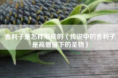 舍利子是怎样形成的(传说中的舍利子是高僧留下的圣物)