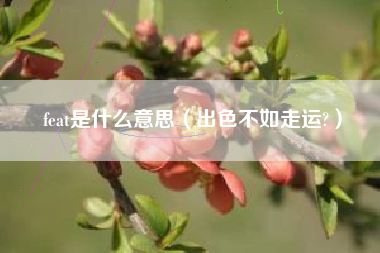 feat是什么意思(出色不如走运?)
