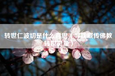 转世仁波切是什么意思(寻找藏传佛教转世灵童)