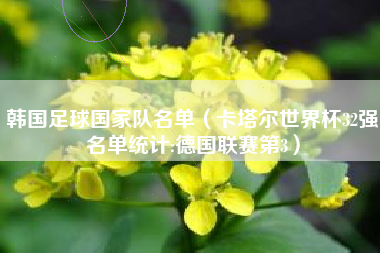 韩国足球国家队名单(卡塔尔世界杯32强名单统计:德国联赛第3)