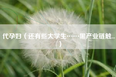代孕妇(还有些大学生……黑产业链触...)