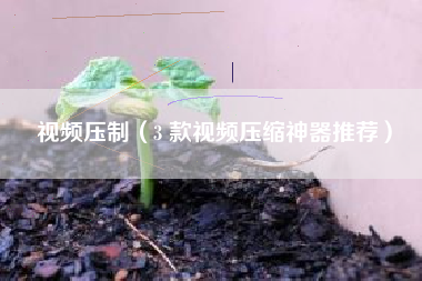 视频压制(3 款视频压缩神器推荐)