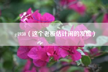g4930（这个老板估计闲的发慌）