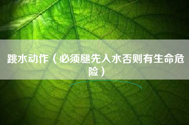 跳水动作（必须腿先入水否则有生命危险）