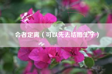 会者定离(可以先去结婚生子)