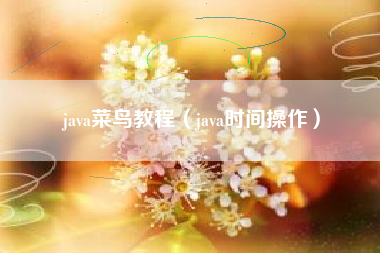 java菜鸟教程（java时间操作）