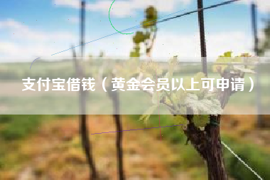 支付宝借钱（黄金会员以上可申请）