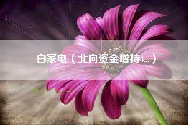 白家电（北向资金增持4...）