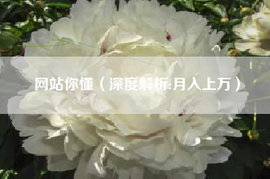网站你懂（深度解析:月入上万）