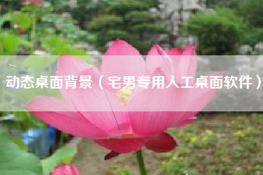 动态桌面背景(宅男专用人工桌面软件)