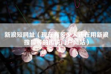 新浪短网址(现在有多少人还在用新浪搜狐等的传统门户网站)