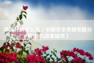 市场分析怎么写（中国资本市场专题分析:着力改革提效）