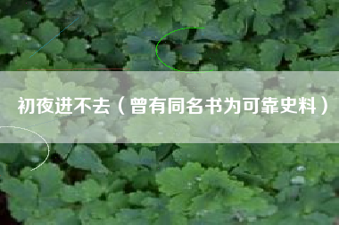 初夜进不去(曾有同名书为可靠史料)