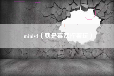 minisd(就是喜欢拧着玩)