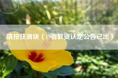 请按住滑块（19省教资认定公告已出）