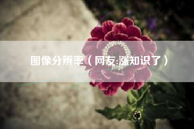 图像分辨率（网友:涨知识了）