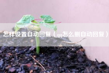 怎样设置自动回复（qq怎么删自动回复）