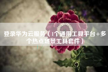 登录华为云服务（1个通用工具平台+多个热点场景工具套件）
