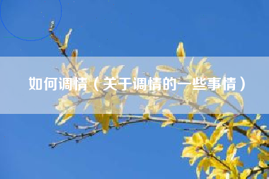 如何调情（关于调情的一些事情）
