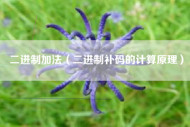 二进制加法（二进制补码的计算原理）