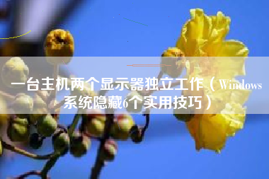 一台主机两个显示器独立工作（Windows系统隐藏6个实用技巧）