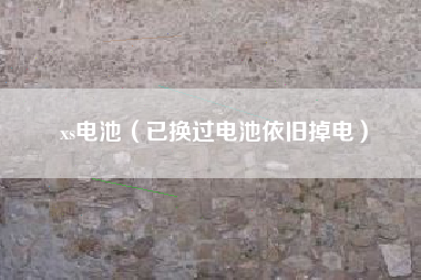 xs电池（已换过电池依旧掉电）