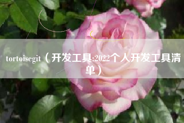tortoisegit（开发工具:2022个人开发工具清单）