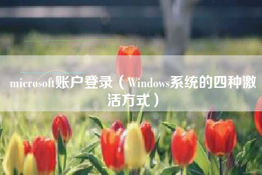 microsoft账户登录（Windows系统的四种激活方式）