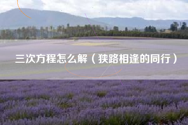 三次方程怎么解(狭路相逢的同行)