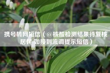携号转网短信（@核酸检测结果待复核居民 如接到流调提示短信）